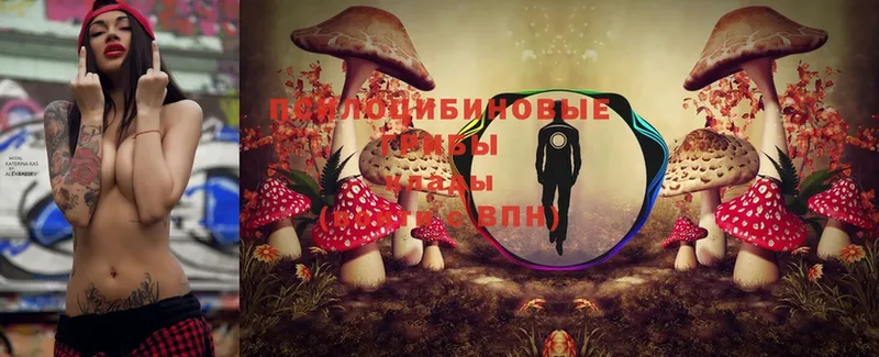 Галлюциногенные грибы MAGIC MUSHROOMS  ссылка на мегу tor  Вичуга  как найти  